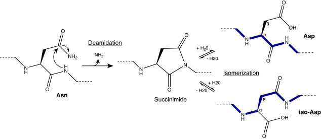 Hydroisomerization Process