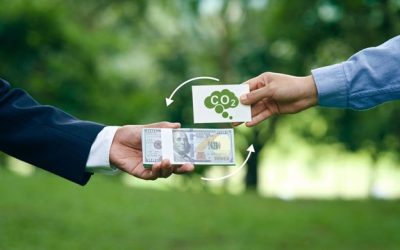 agsoman-carboncredits agsoman-carboncredits